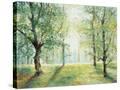Stretched Canvas