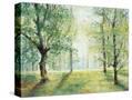 Stretched Canvas