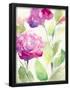 Essential Black