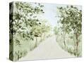 Stretched Canvas