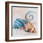 Brown Frame