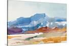 Stretched Canvas