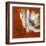 Brown Frame