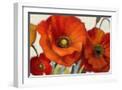 White Frame