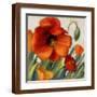 Brown Frame