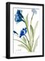 Black Frame