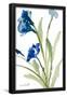 Essential Black