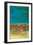 Black Frame