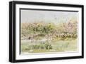 Black Frame