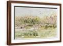 Brown Frame