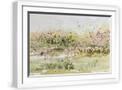 White Frame