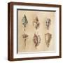 Brown Frame