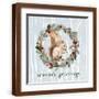 Brown Frame