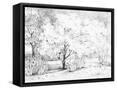 Canvas Black