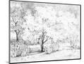 Wood Mount