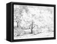 Canvas Black