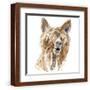 Brown Frame