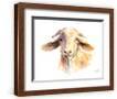 Brown Frame