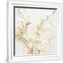 Gramercy White