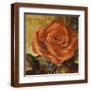 Brown Frame