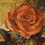 Laminate