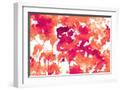 White Frame