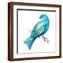 Brown Frame