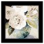 Gallery Pops Black Frame