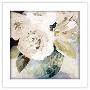 Gallery Pops White Frame