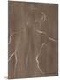 Wood Mount