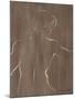 Wood Mount