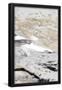 Essential Black