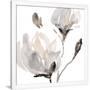 Gramercy White
