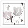 Gallery Pops White Frame