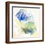 Brown Frame