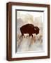 Brown Frame