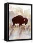 Canvas Black