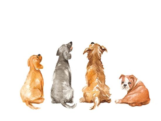 Art Print, , large