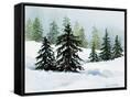 Canvas Black