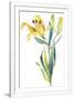 Gramercy White