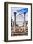 Lankarama Dagoba, Anuradhapura, UNESCO World Heritage Site, Sri Lanka, Asia-Matthew Williams-Ellis-Framed Photographic Print