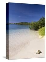 Lanqui, Los Roques, Venezuela, South America-Sergio Pitamitz-Stretched Canvas