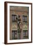 Brown Frame