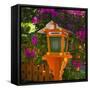 Lantern at Shrine in Gion-Jon Hicks-Framed Stretched Canvas