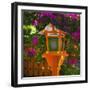 Lantern at Shrine in Gion-Jon Hicks-Framed Photographic Print