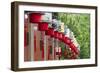 Lantern decoration during the Chinese Lantern Festival, Taipei, Taiwan-Keren Su-Framed Photographic Print