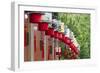 Lantern decoration during the Chinese Lantern Festival, Taipei, Taiwan-Keren Su-Framed Photographic Print