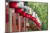 Lantern decoration during the Chinese Lantern Festival, Taipei, Taiwan-Keren Su-Mounted Photographic Print