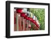 Lantern decoration during the Chinese Lantern Festival, Taipei, Taiwan-Keren Su-Framed Photographic Print