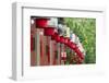 Lantern decoration during the Chinese Lantern Festival, Taipei, Taiwan-Keren Su-Framed Photographic Print